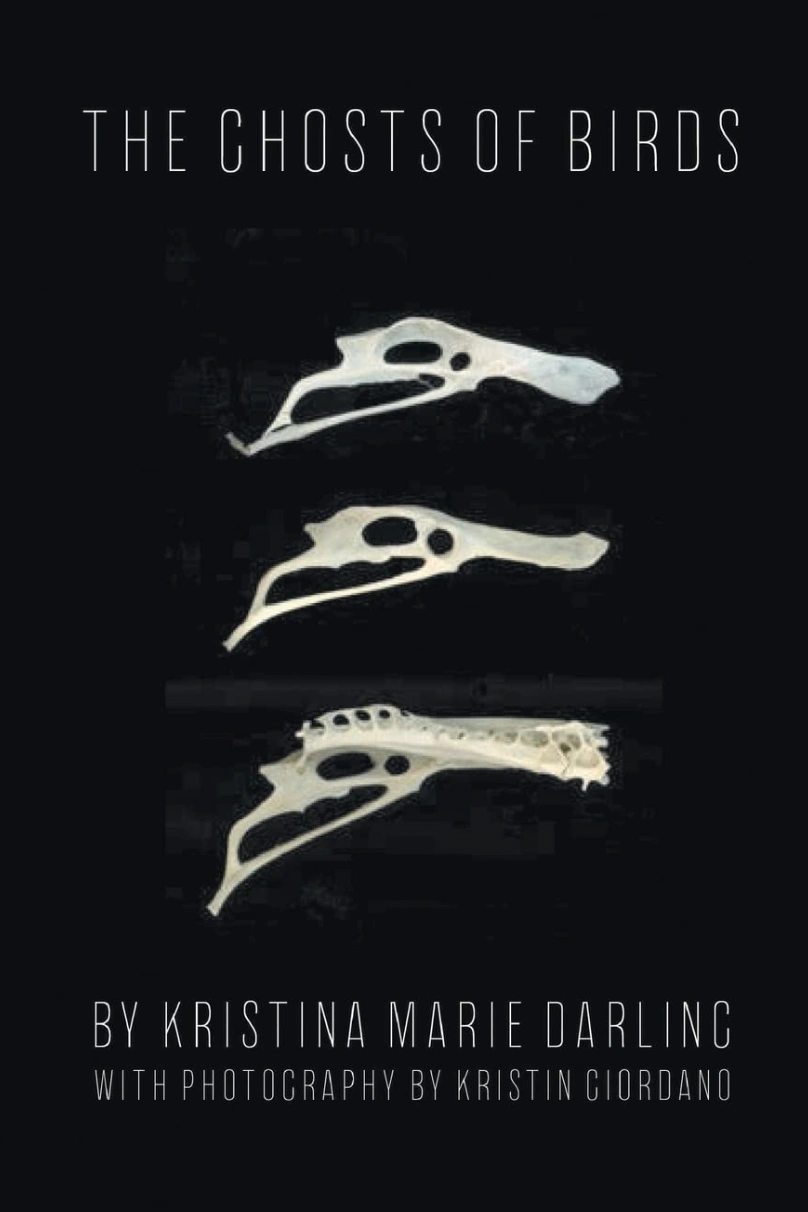 The Ghosts of Birds (with Kristin Giordano) cover